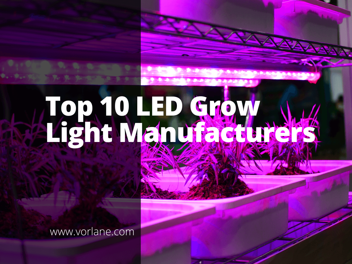 led grow light manufacturer 1 - Top 10 LED Grow Light Manufacturers [2026 Updated]- Vorlane - Vorlane
