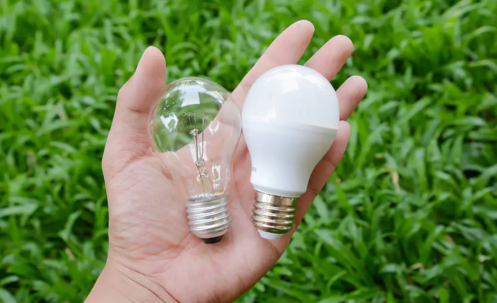 A person holding LED and incandescent light bulbs showcasing the difference between the two lighting technologies - What Is The Difference Between LED And Incandescent Lighting? - Vorlane - Vorlane A person holding LED and incandescent light bulbs showcasing the difference between the two lighting technologies - What Is The Difference Between LED And Incandescent Lighting? - Vorlane - Vorlane