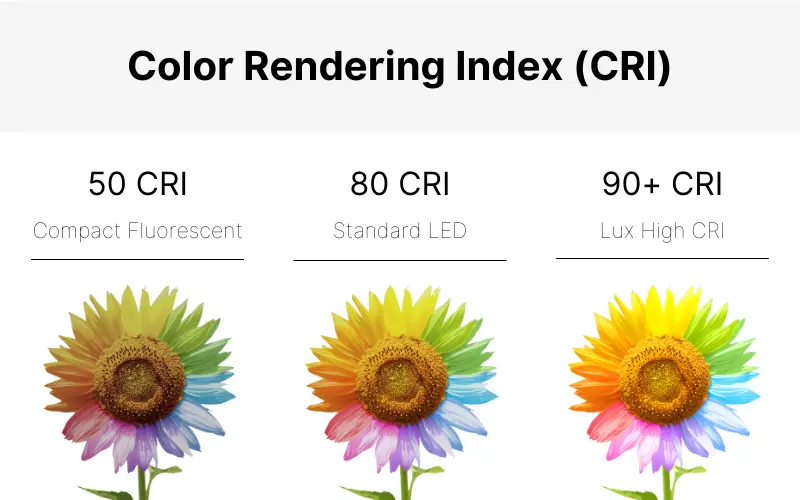 CRI chart displaying how accurately a light source renders colors compared to natural light - What is CRI? The Ultimate Guide to the Color Rendering Index - Vorlane - Vorlane CRI chart displaying how accurately a light source renders colors compared to natural light - What is CRI? The Ultimate Guide to the Color Rendering Index - Vorlane - Vorlane